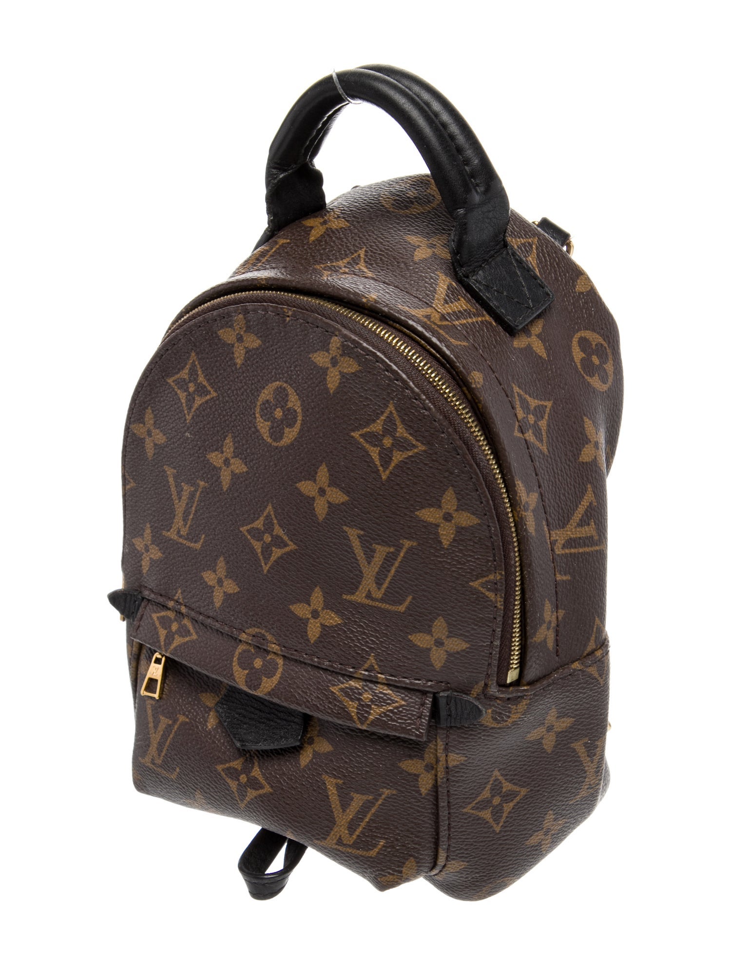 Louis Vuitton LV Monogram Palm Springs Mini