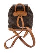 Louis Vuitton LV Monogram Montsouris Mini