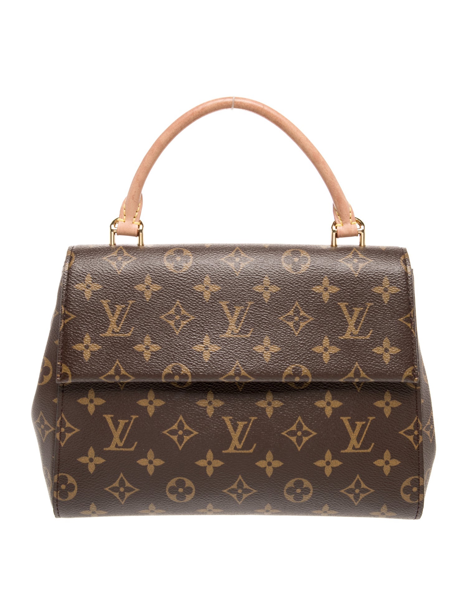 Louis Vuitton LV Monogram Cluny