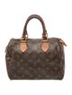 Louis Vuitton LV Monogram Speedy 25