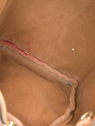 Louis Vuitton LV Monogram Speedy 25