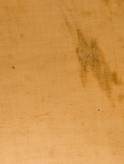 Louis Vuitton LV Monogram Sac Chaussures