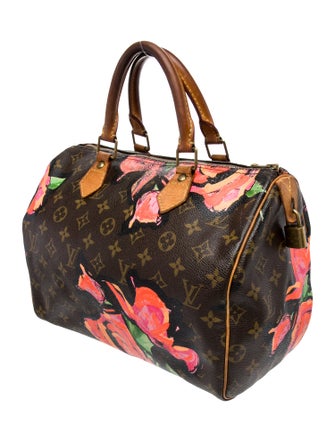 Louis Vuitton LV Monogram Speedy