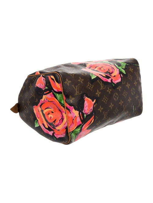 Louis Vuitton LV Monogram Speedy