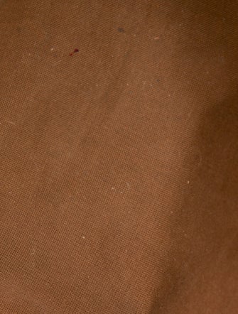 Louis Vuitton LV Monogram Speedy