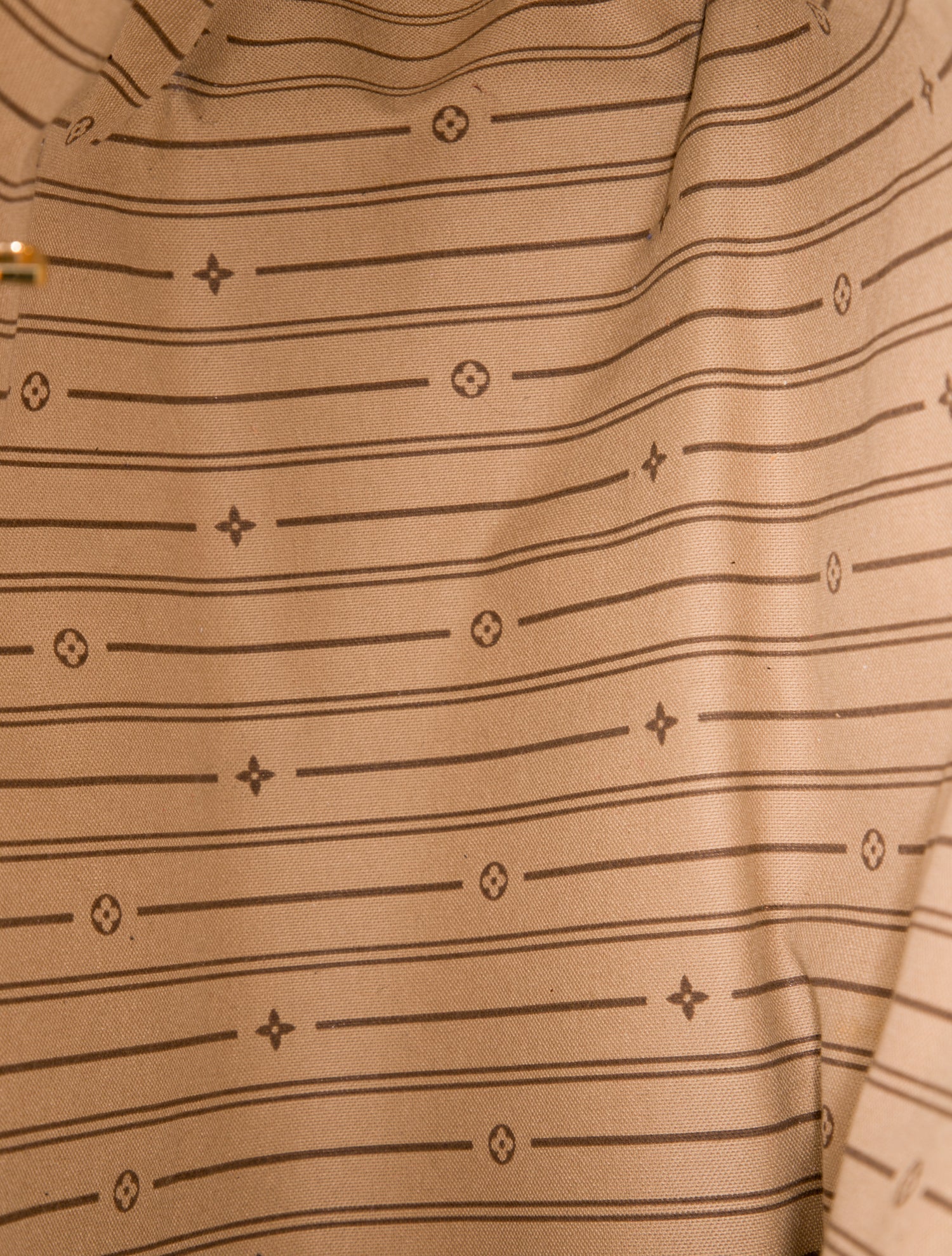 Louis Vuitton LV Monogram Delightful PM