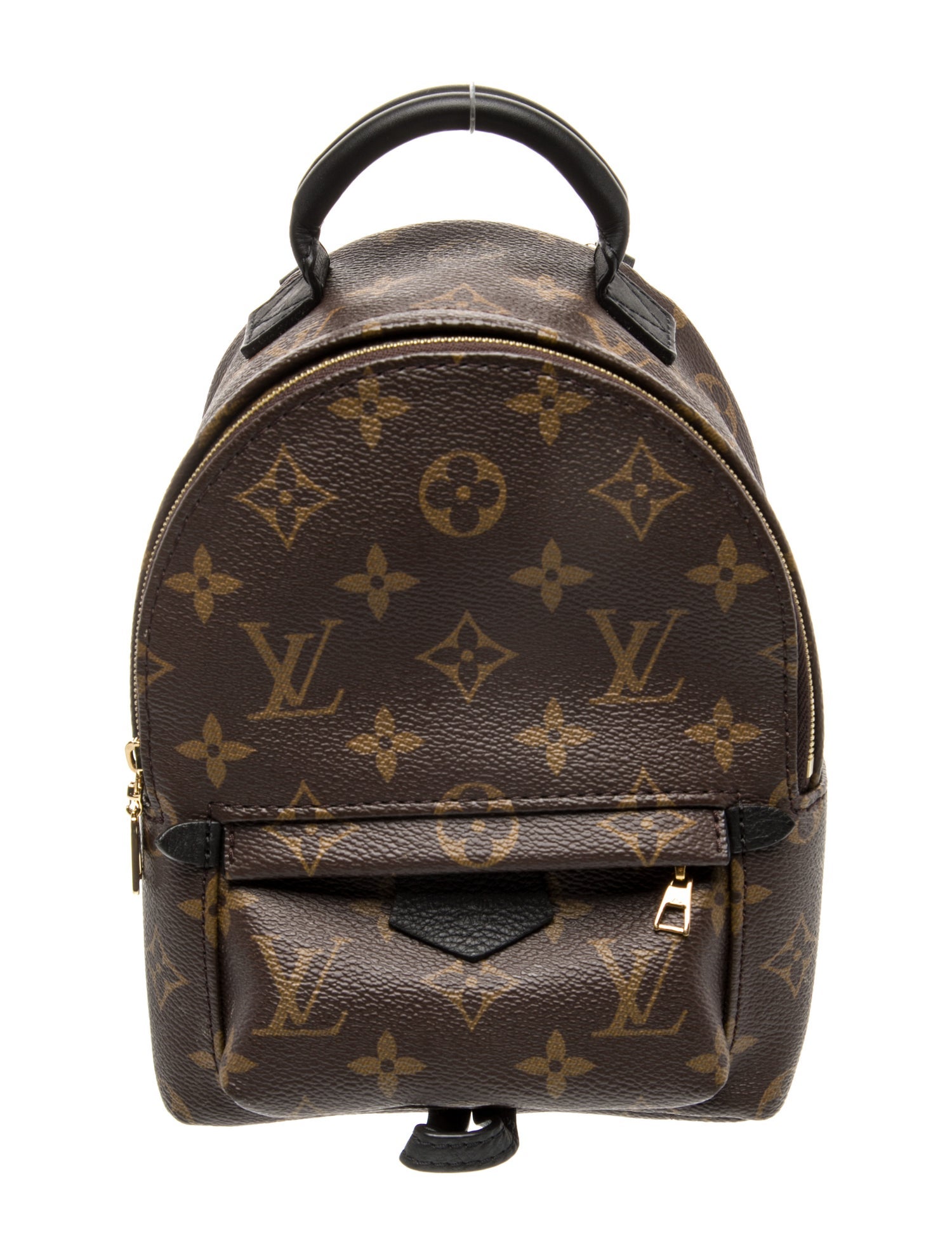 Louis Vuitton LV Monogram Palm Springs Mini