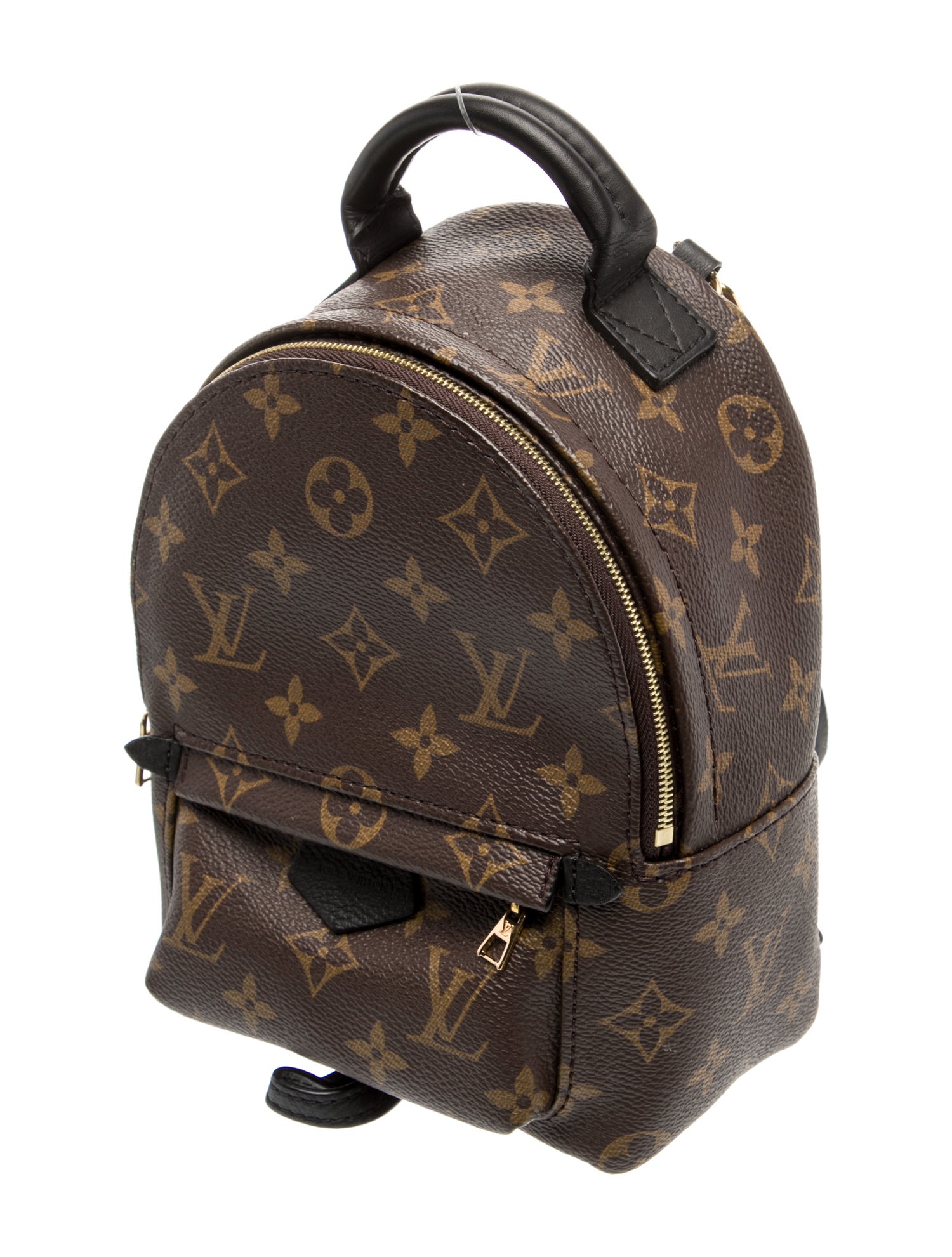 Louis Vuitton LV Monogram Palm Springs Mini