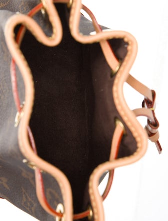 Louis Vuitton LV Monogram Noé Nano