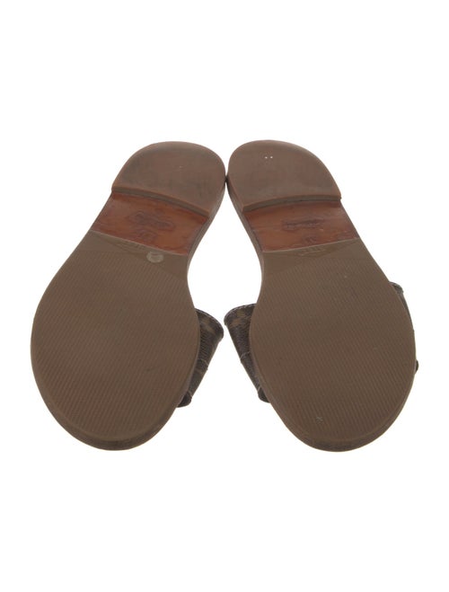 Louis Vuitton LV Monogram Canvas Slides