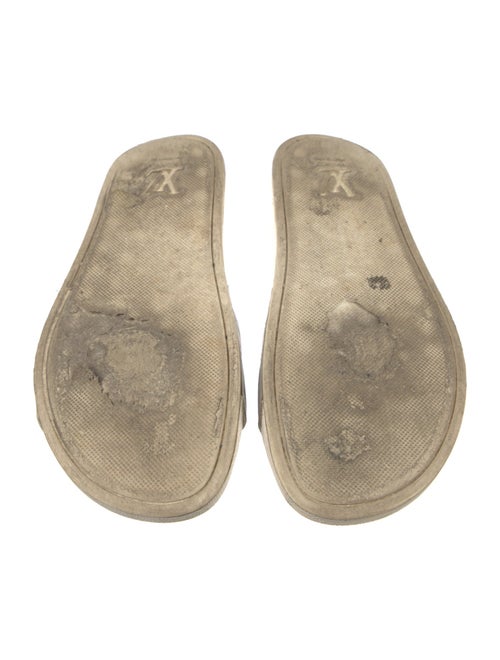 Louis Vuitton Monogram Pattern Rubber Slides