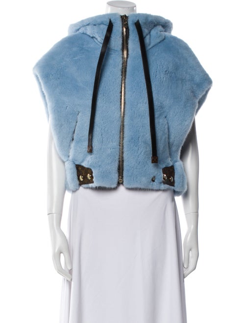 Louis Vuitton 2024 Mink Fur Jacket