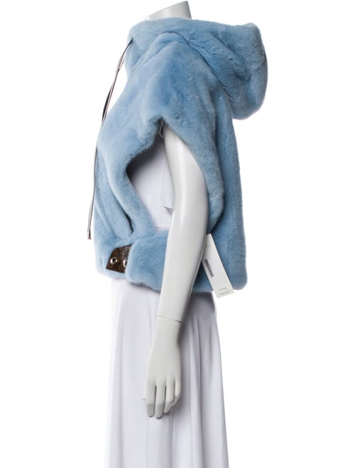 Louis Vuitton 2024 Mink Fur Jacket