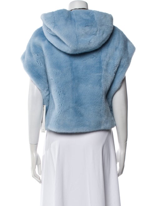 Louis Vuitton 2024 Mink Fur Jacket