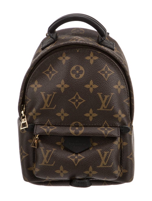 Louis Vuitton LV Monogram Palm Springs Mini