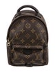 Louis Vuitton LV Monogram Palm Springs Mini