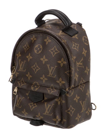 Louis Vuitton LV Monogram Palm Springs Mini