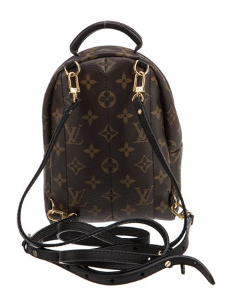 Louis Vuitton LV Monogram Palm Springs Mini