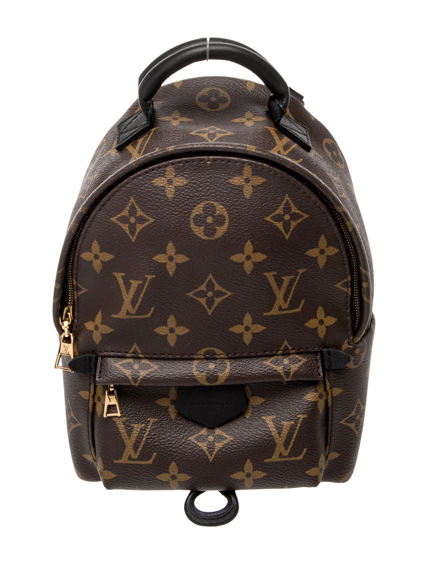 Louis Vuitton LV Monogram Palm Springs Mini