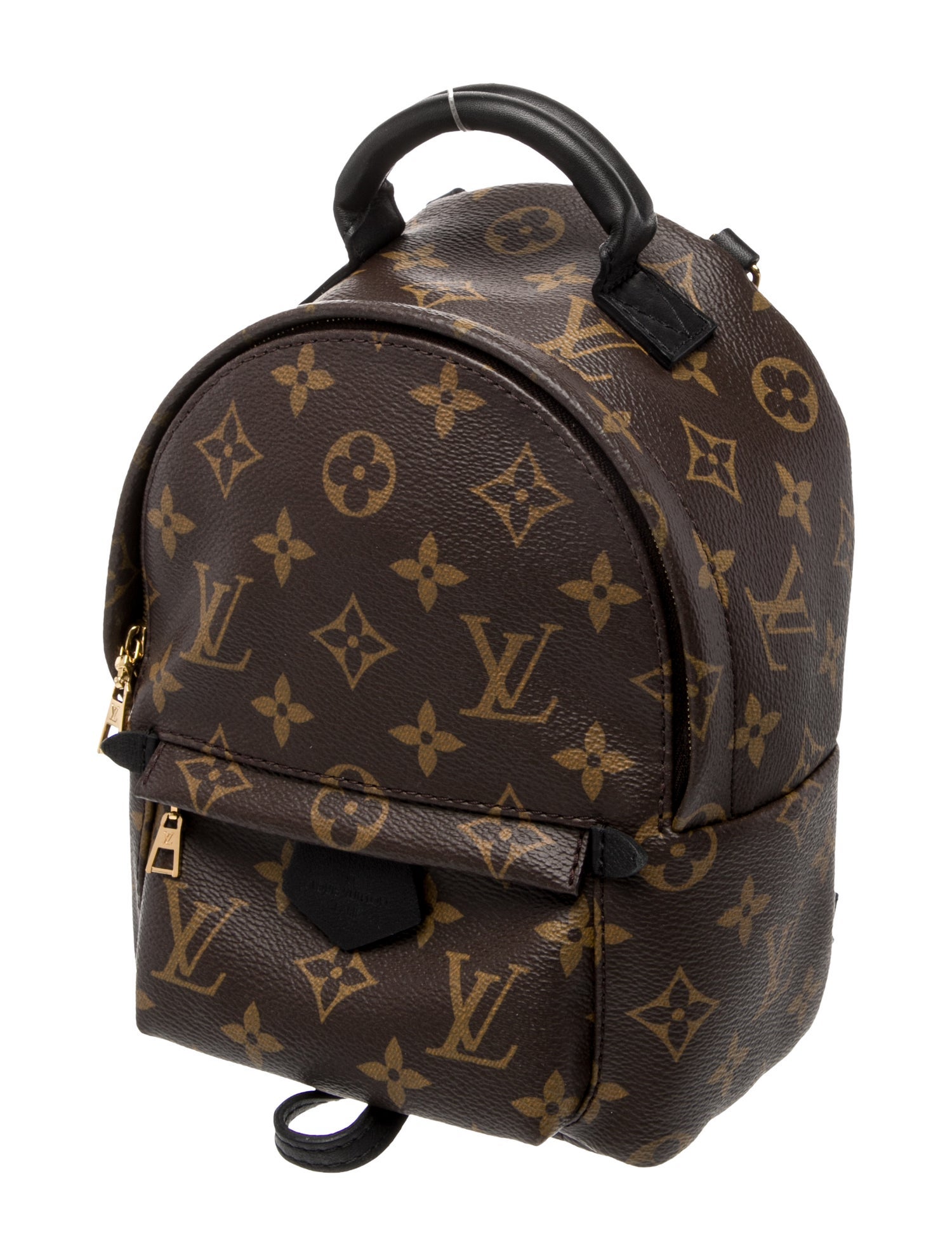 Louis Vuitton LV Monogram Palm Springs Mini