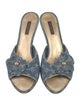 Louis Vuitton LV Monogram Denim Slides