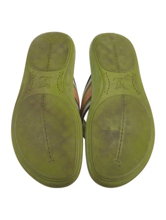 Louis Vuitton LV Monogram Slides