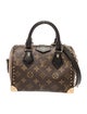 Louis Vuitton LV Monogram Speedy Trunk 20