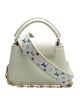 Louis Vuitton Multicolore Monogram Capucines Mini 2025