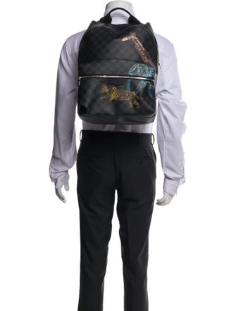 Louis Vuitton Damier Graphite Discovery