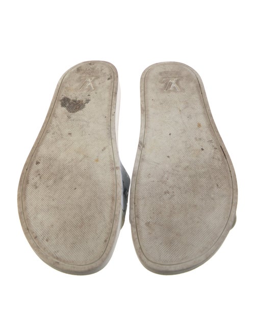 Louis Vuitton LV Monogram Slides