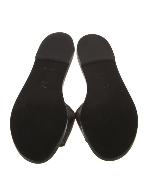 Louis Vuitton LV Monogram Slides