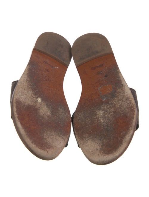 Louis Vuitton LV Monogram Slides