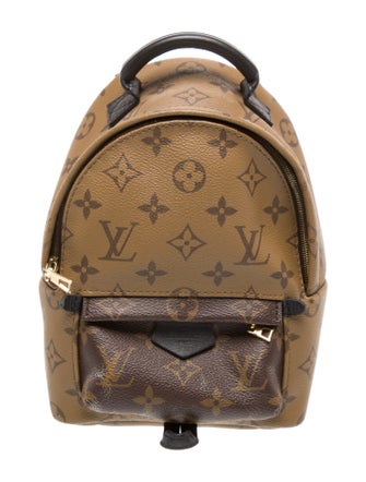 Louis Vuitton LV Monogram Palm Springs Mini
