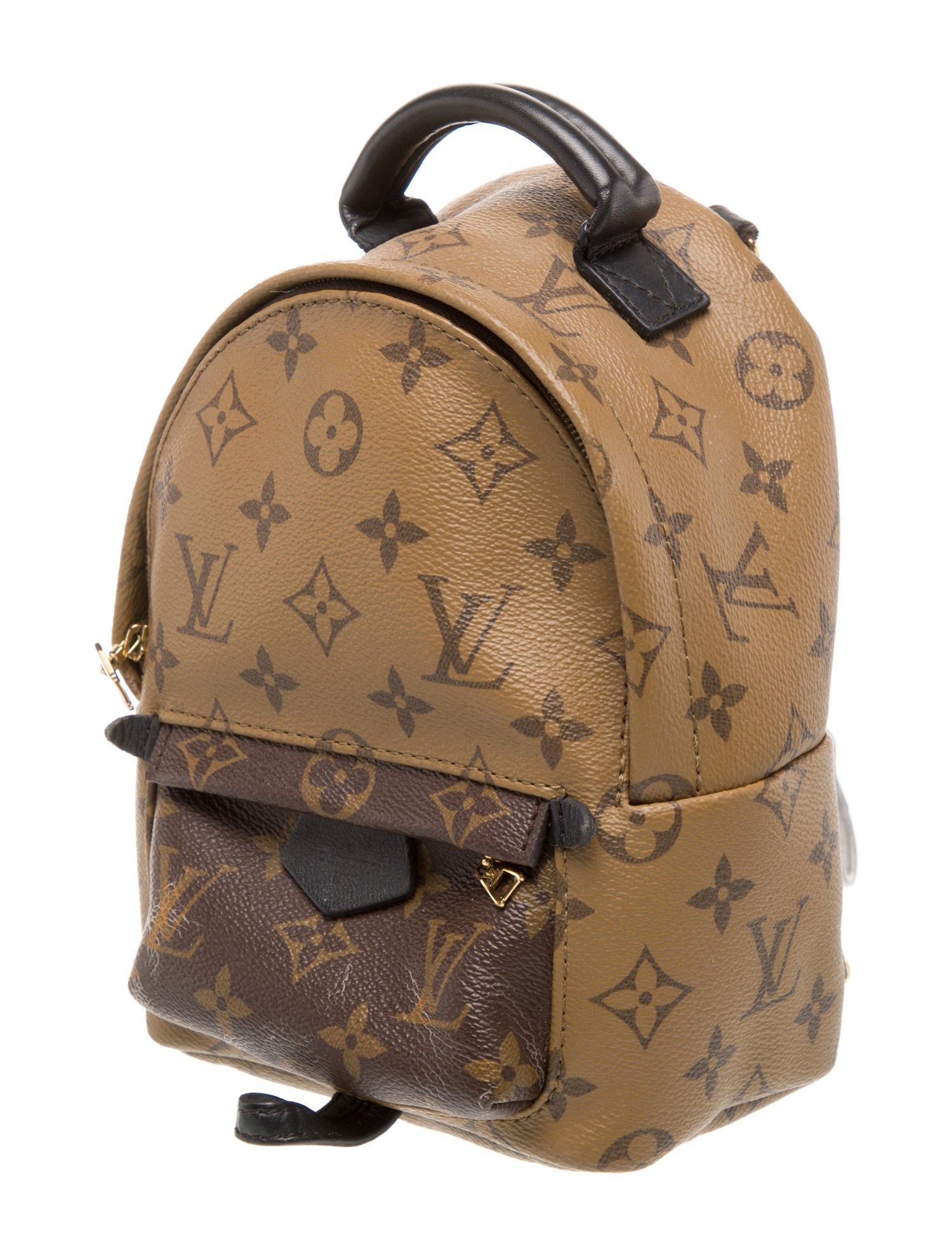 Louis Vuitton LV Monogram Palm Springs Mini