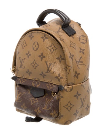 Louis Vuitton LV Monogram Palm Springs Mini