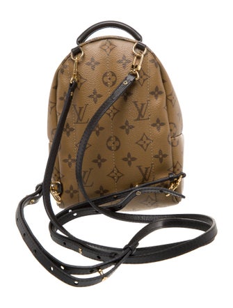 Louis Vuitton LV Monogram Palm Springs Mini