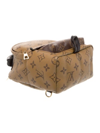 Louis Vuitton LV Monogram Palm Springs Mini