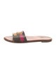 Louis Vuitton LV Monogram Slides