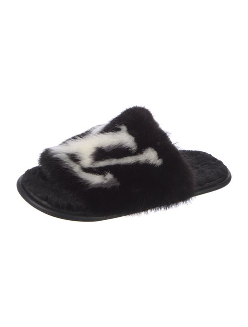 Louis Vuitton Mink Graphic Print Slides