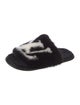Louis Vuitton Mink Graphic Print Slides