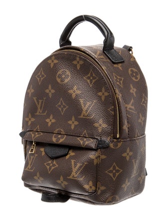 Louis Vuitton LV Monogram Palm Springs Mini