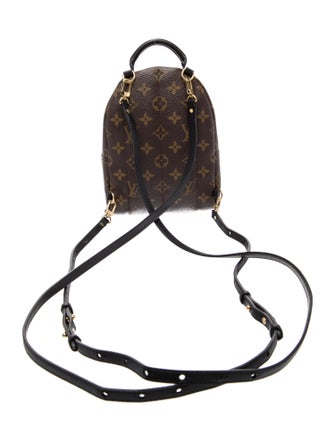 Louis Vuitton LV Monogram Palm Springs Mini