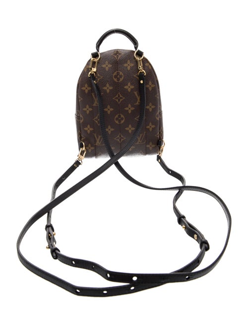 Louis Vuitton LV Monogram Palm Springs Mini