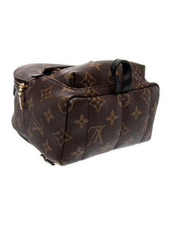 Louis Vuitton LV Monogram Palm Springs Mini