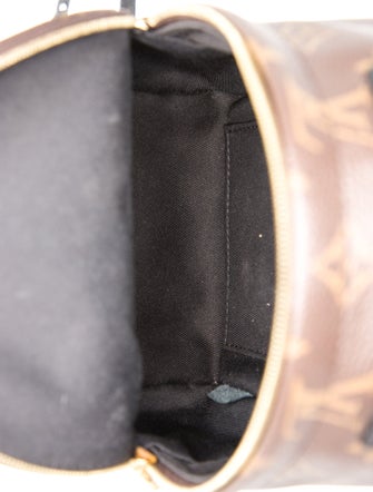 Louis Vuitton LV Monogram Palm Springs Mini