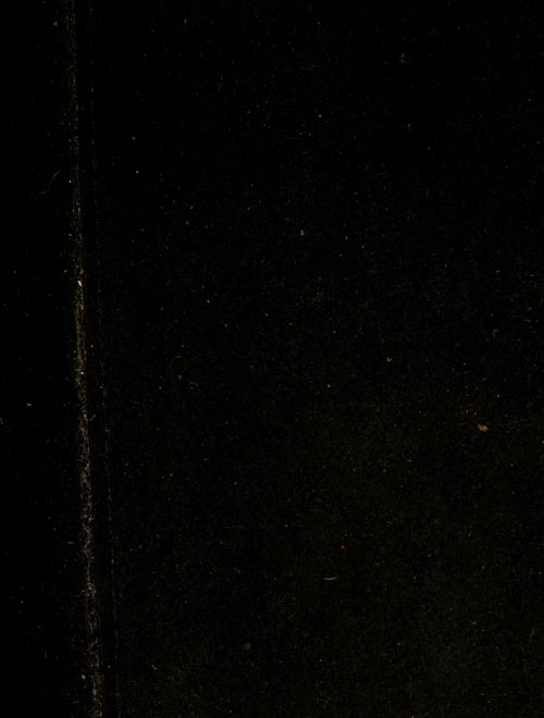 Louis Vuitton Epi Leather Neverfull w/Pouch MM