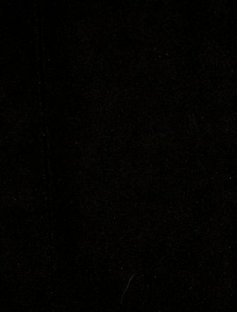 Louis Vuitton LV Monogram Montsouris MM