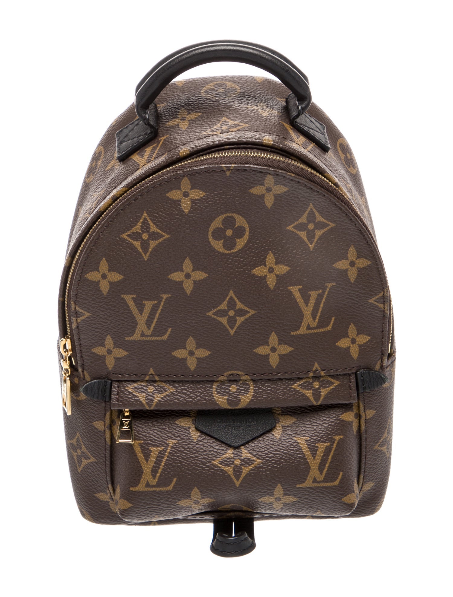 Louis Vuitton LV Monogram Palm Springs Mini