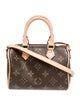 Louis Vuitton LV Monogram Speedy Nano
