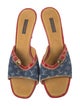 Louis Vuitton LV Monogram Denim Slides